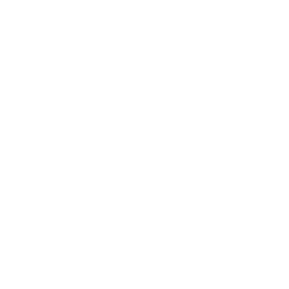 Solverr Logo