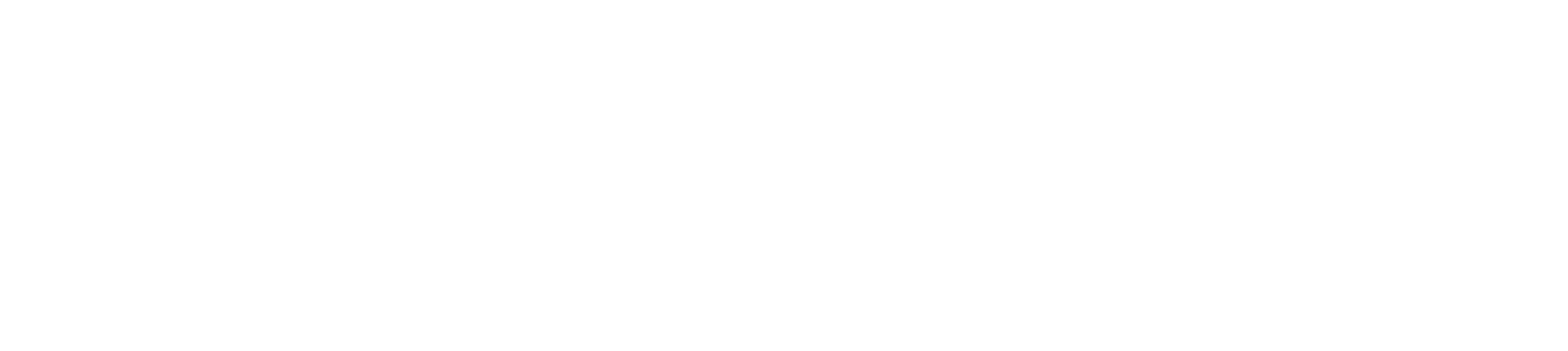 Solverr Logo